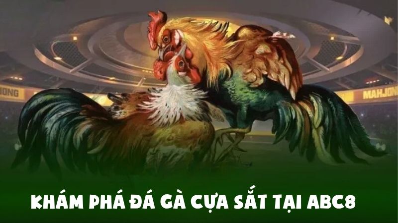 Khám Phá Đá Gà Cựa Sắt Đặc Sắc Tại ABC8 Cho Dân Cá Cược
