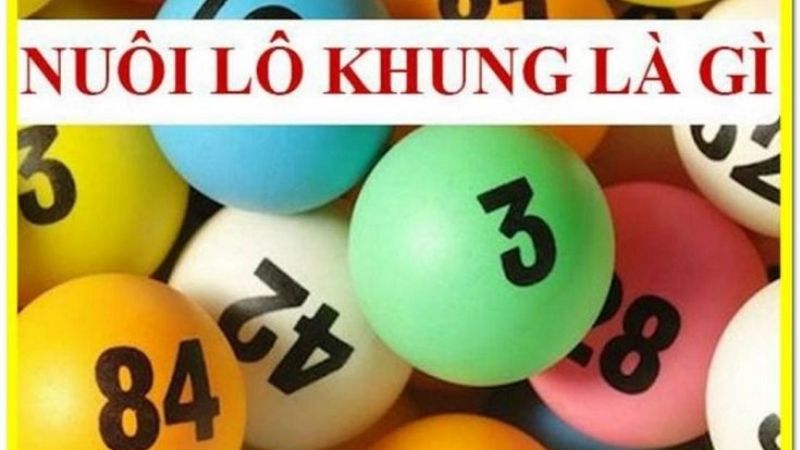 ABC8 Mách Bạn Cách Nuôi Lô Khung Đạt Tỷ Lệ Thắng Cao