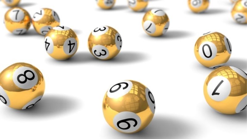 ABC8 Mách Bạn Cách Nuôi Lô Khung Đạt Tỷ Lệ Thắng Cao