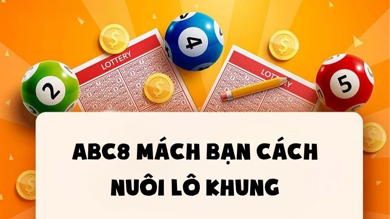 ABC8 Mách Bạn Cách Nuôi Lô Khung Đạt Tỷ Lệ Thắng Cao