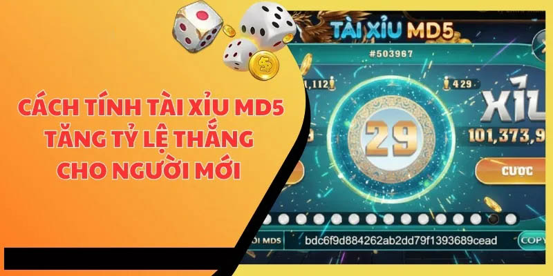 Chơi Tài Xỉu MD5 Sunwin Chuẩn Cao Thủ