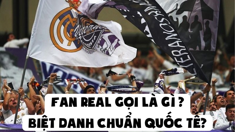 Fan Real Gọi Là Gì - Biệt Danh Chuẩn Quốc Tế?