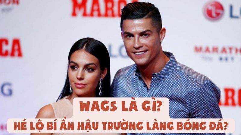 Wags Là Gì - Hé Lộ Bí Ẩn Hậu Trường Làng Bóng Đá?